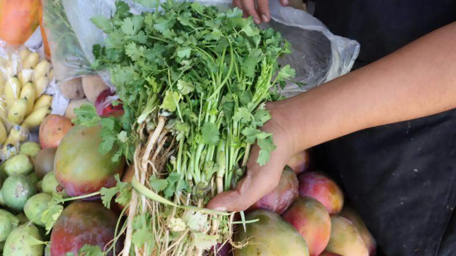 frutas y verduras (5)